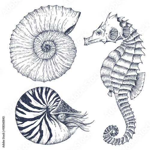 Sea life set