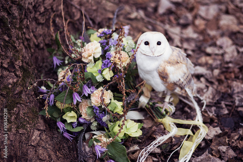 Tyto owl with the bouquet