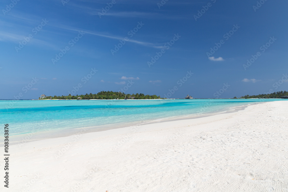 maldives island beach with palm tree and villa maldives island beach with palm tree and villa