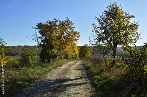 Autumn landscape