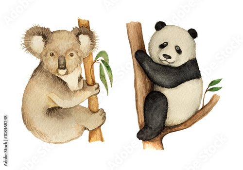 Canvas Print Watercolor Koala and Panda sitting on the tree.