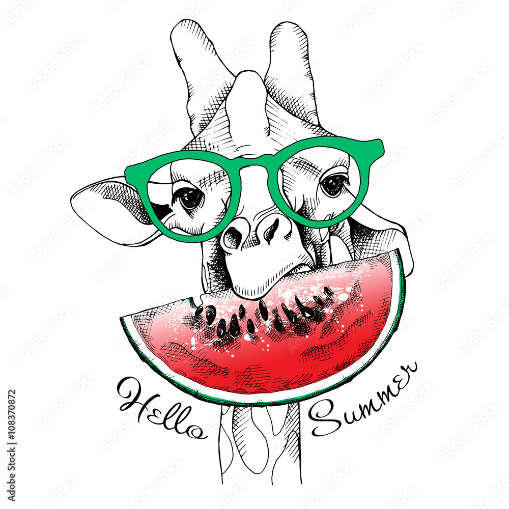 Naklejka premium The image of the Giraffe with the watermelon. Vector illustration.