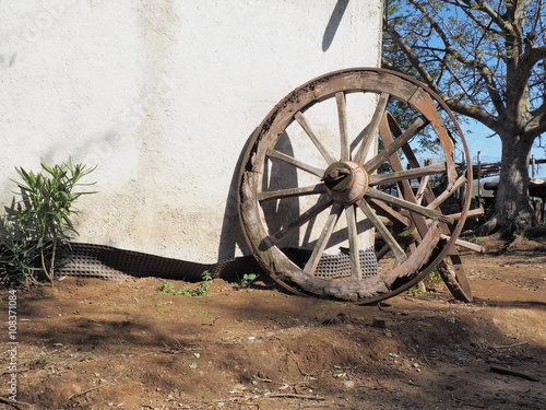 ruota di carro photo