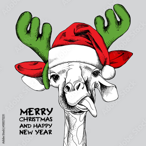 The image giraffe portrait in mask Santa's antler reindeer and Santa's hat. Vector illustration.