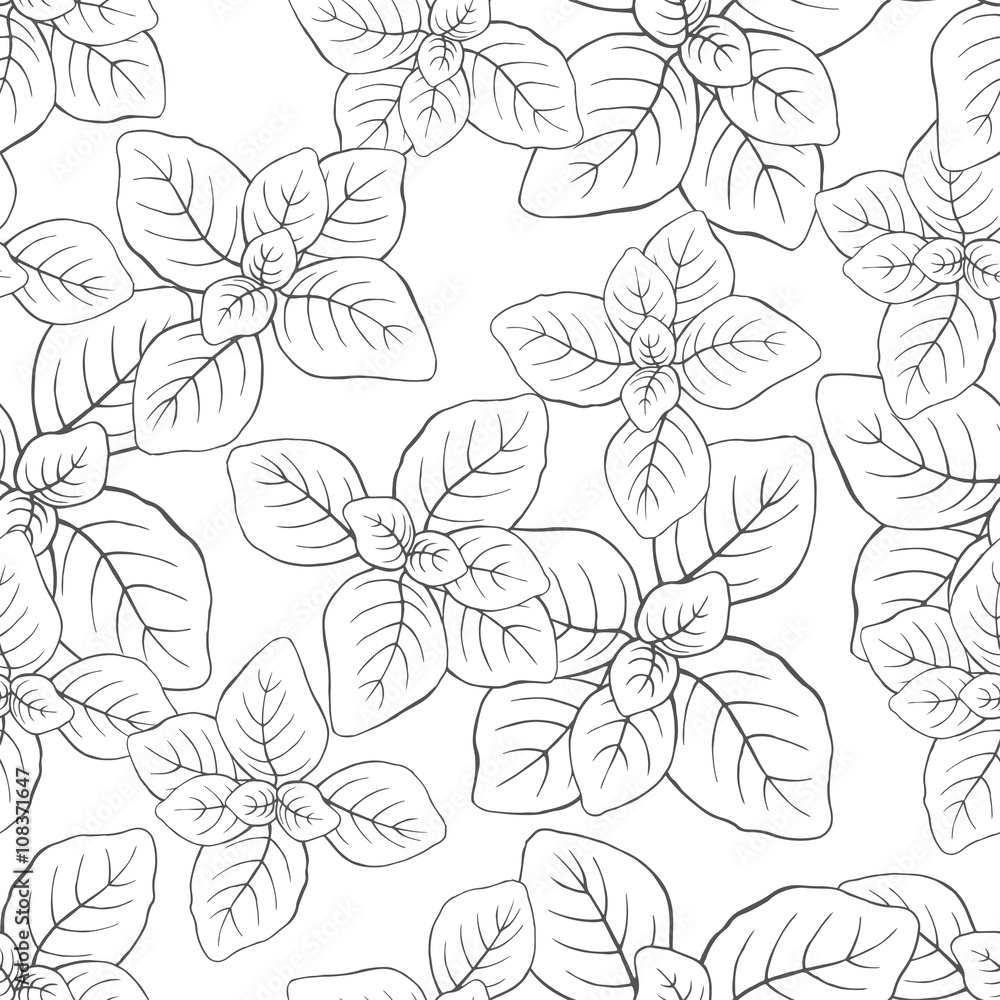 Seamless vector basil pattern on white background
