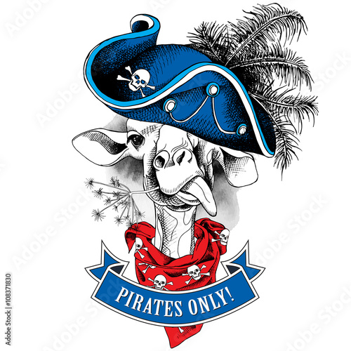 The image portrait of the Giraffe wearing a pirates hat and the neckerchief with the images a skull. Vector illustration.