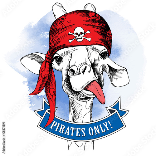 The portrait of a giraffe wearing a pirate's bandana with the image of a skull. Vector illustration.