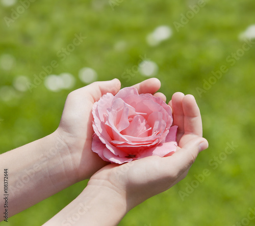 Rose in Kinderhänden
