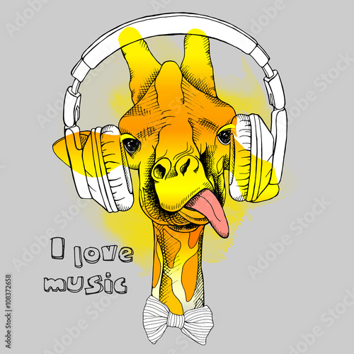 Image portrait of a giraffe in the headphones. Vector illustration.