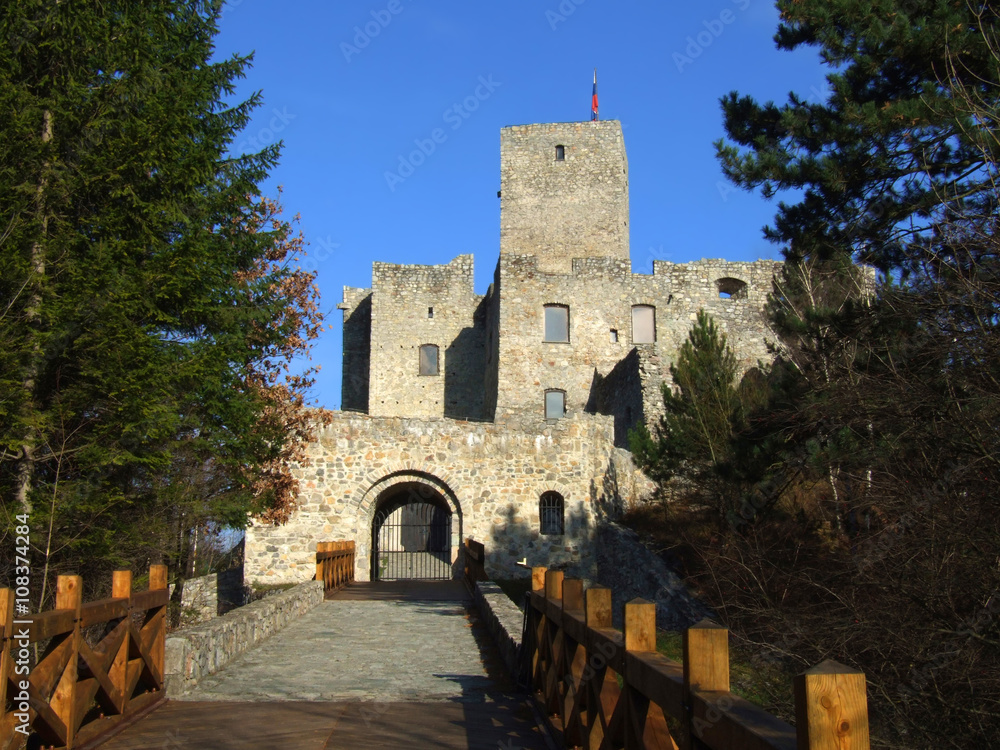 Obraz premium Main Entrance To The Strecno Castle, Slovakia / Road and Gate Of Strecno Castle
