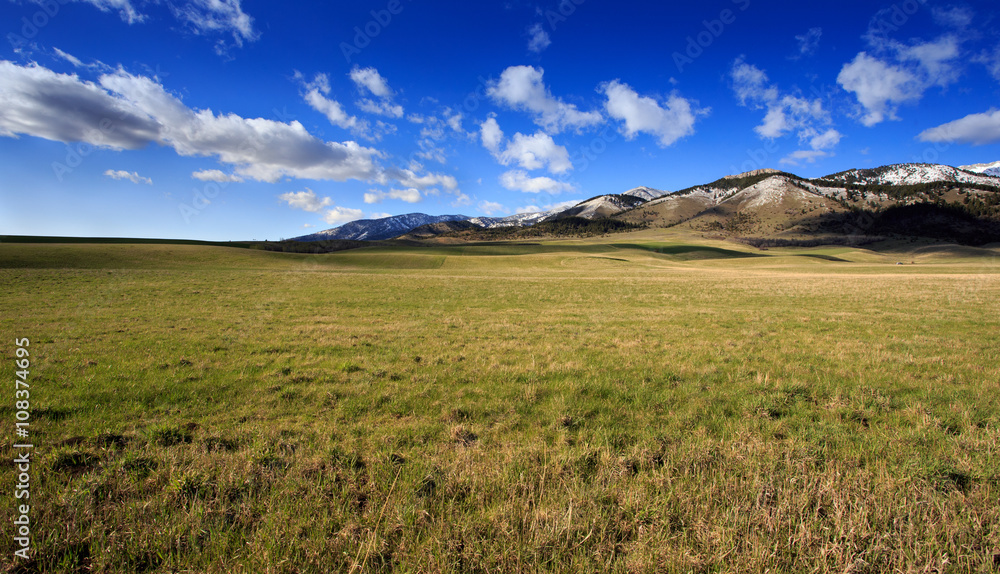 Early Springtime Landscape.