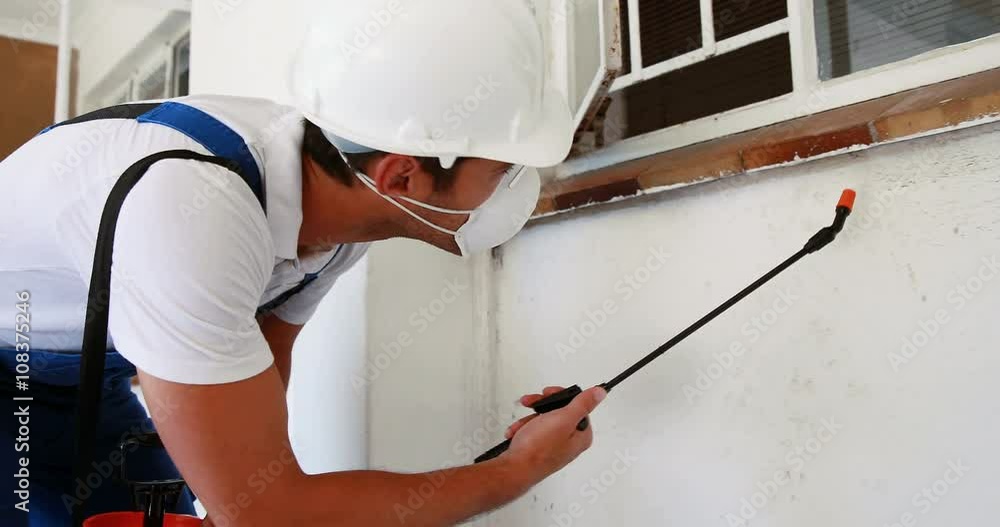 Man doing pest control