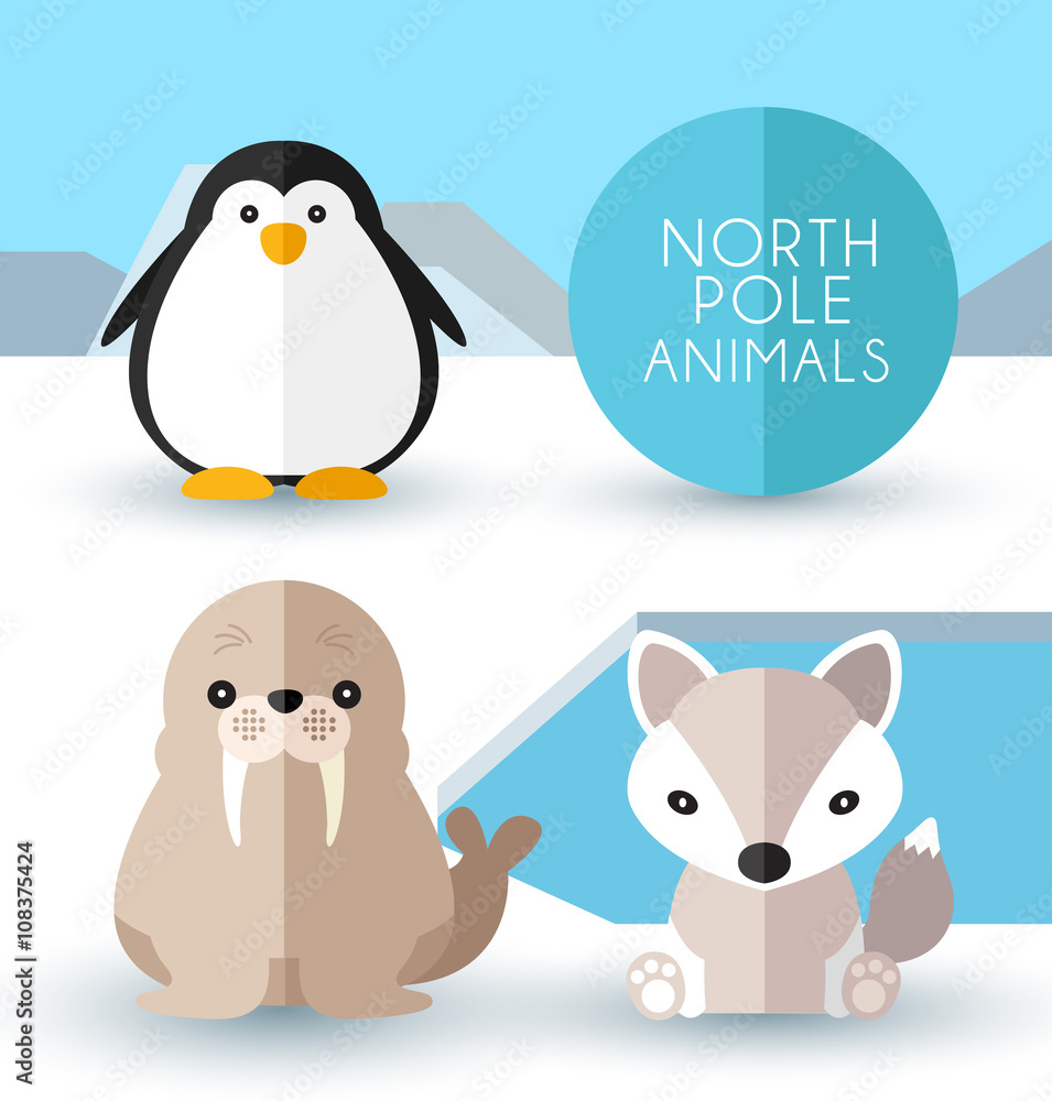 Fototapeta premium North Pole Animals : Vector Illustration