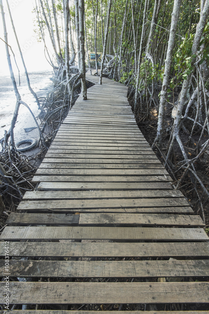 Fototapeta premium Wooden bridge