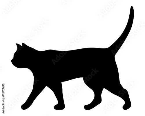 Vector black silhouette of a walking cat.