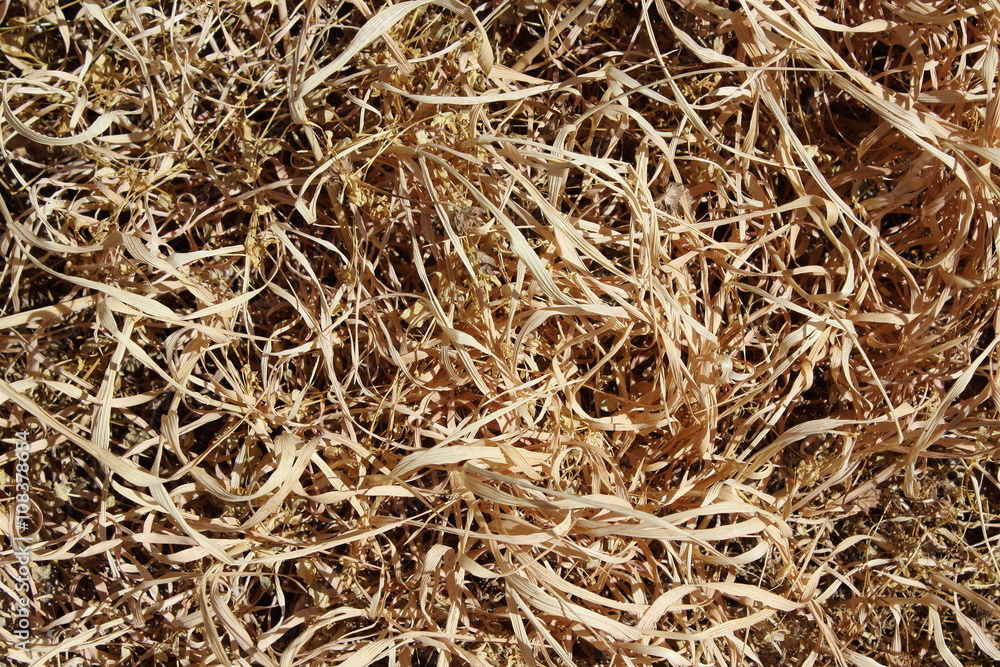 grass drw grass drw
