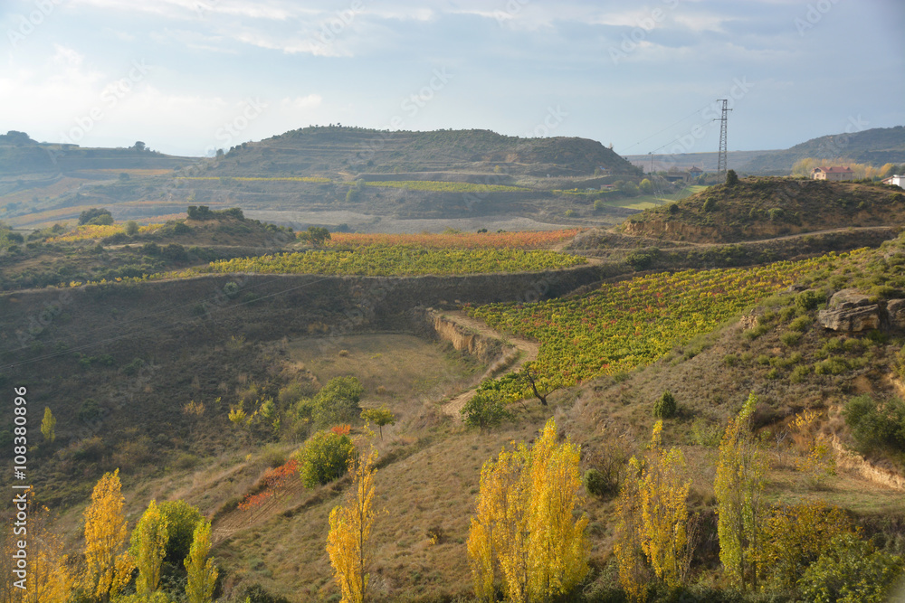 colores de otoño en La Rioja