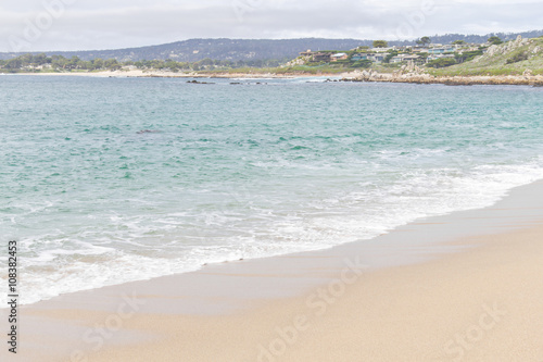 Beach at Garrapata State Park, California