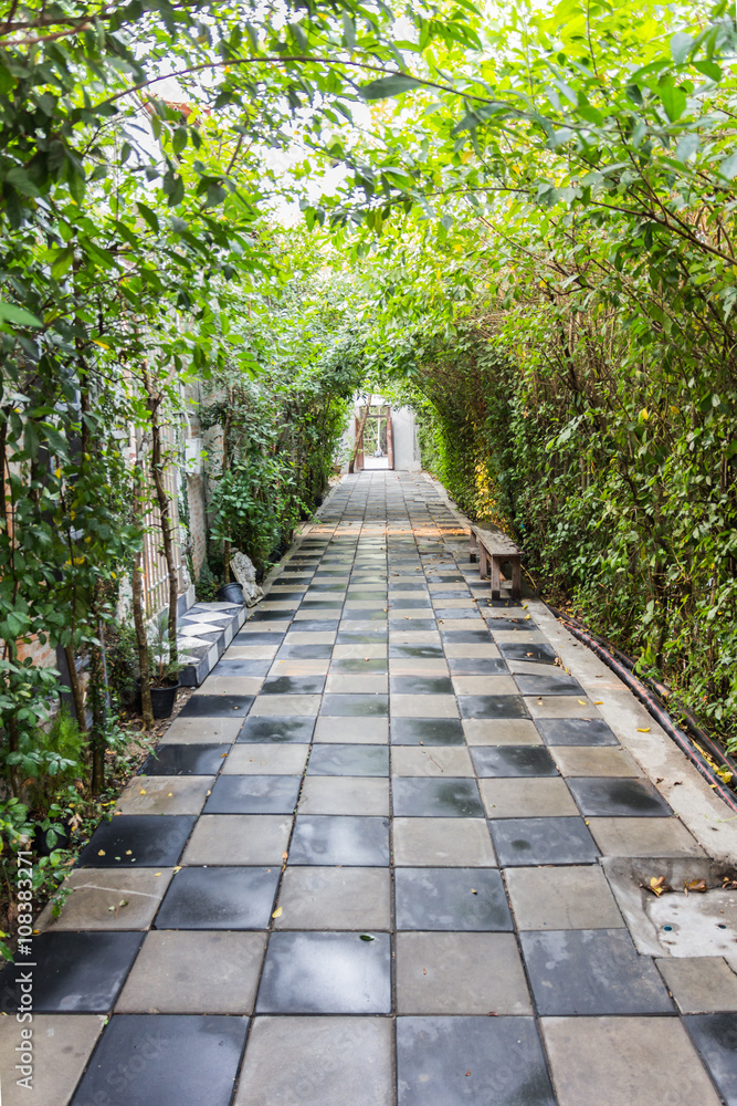 Tunnel pathway covered with green leaves Tunnel pathway covered with green leaves