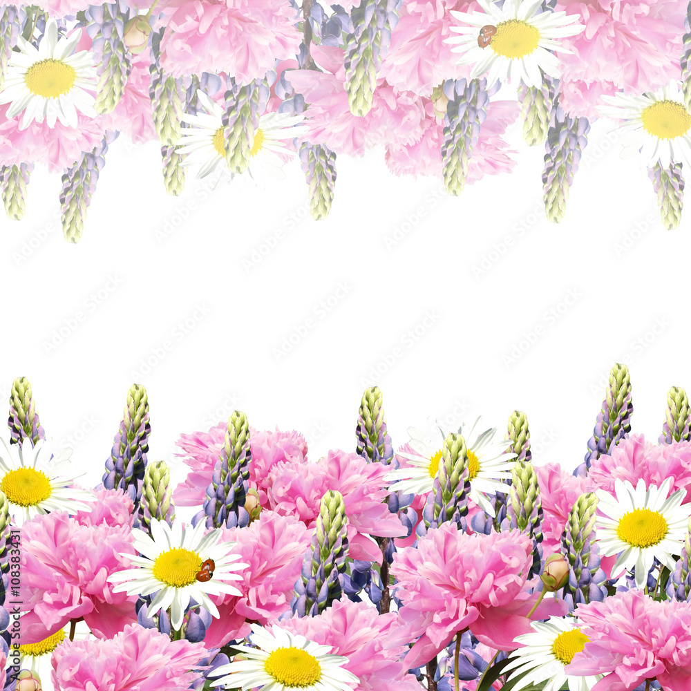 Delicate floral background. Peonies, lupins and daisies 