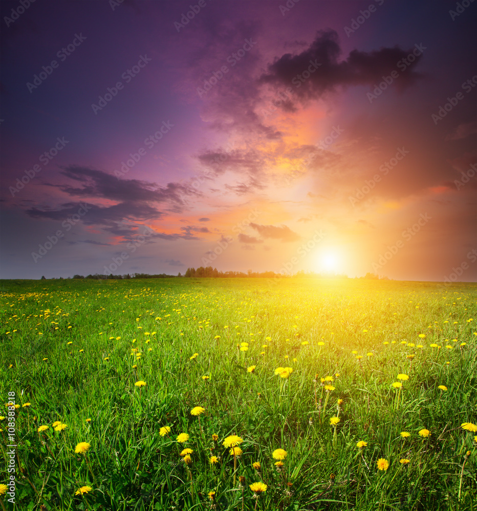 green field and beautiful sunset