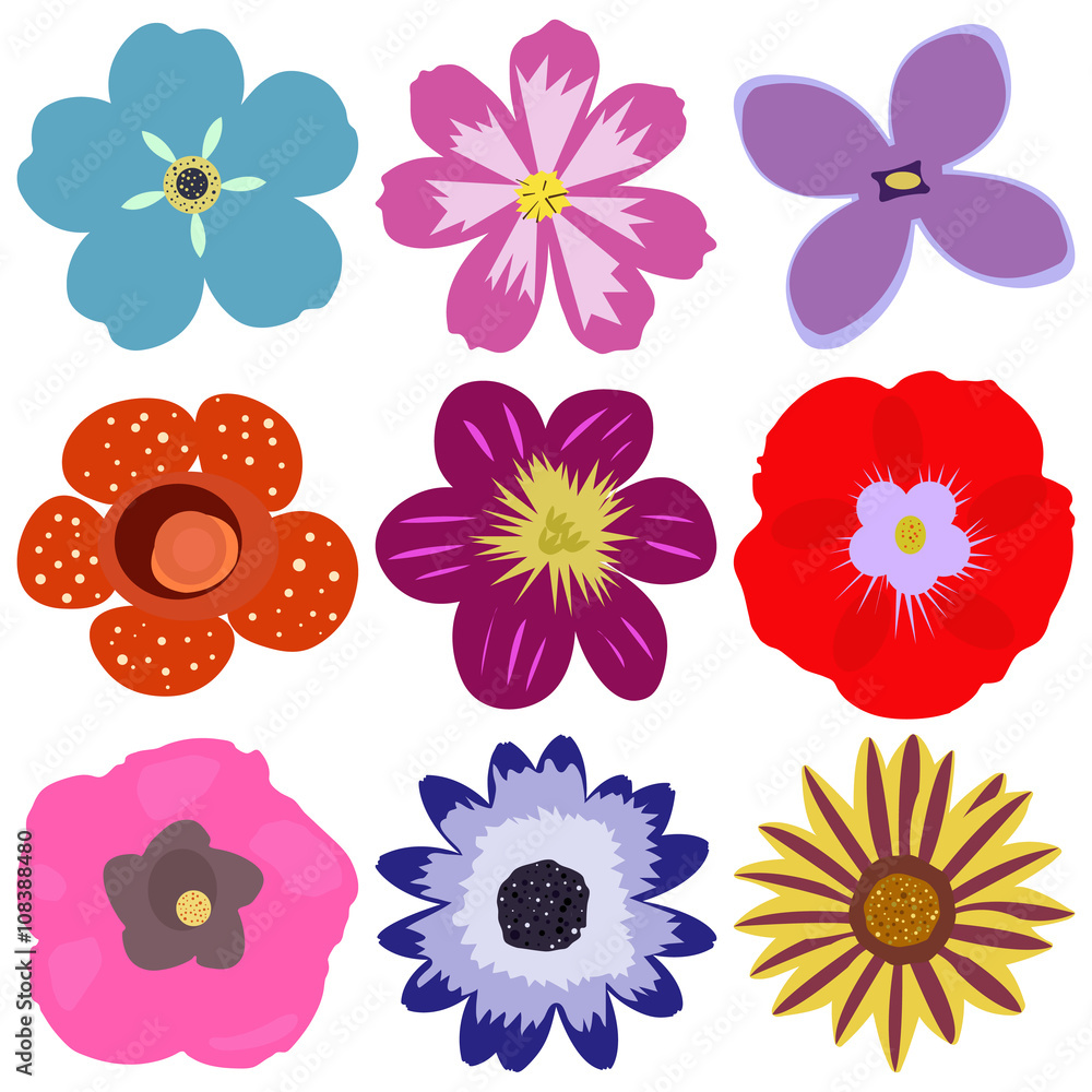Isolated and colorful flower vector set. Flower icon collection. Hand