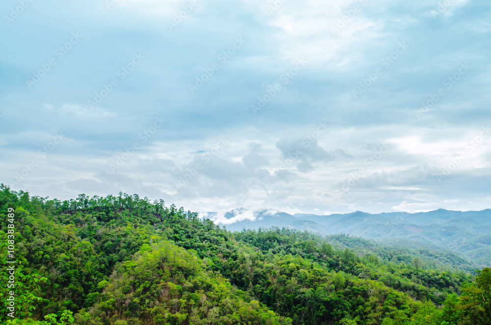 fresh green landscape mountain in Chiang Mai northen in thailand