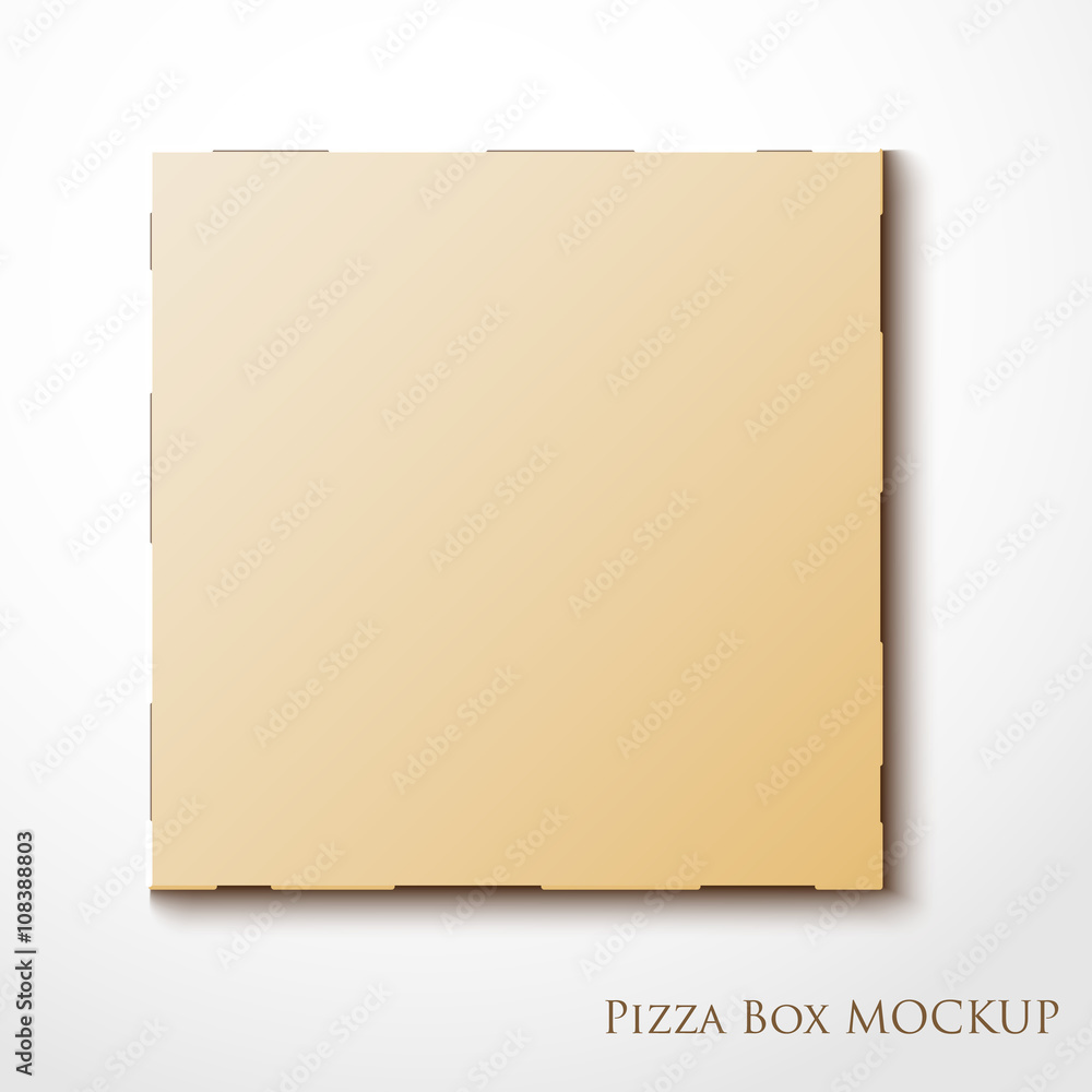 Cardboard empty pizza box mock up package Stock Vector Adobe Stock