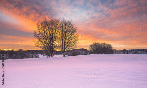 Snowed landscape in a winter cold sunrise © aruizhu
