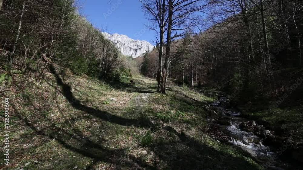 Piatra Craiului mountains in the romanian Carpathians