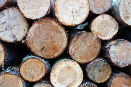 pine logs background