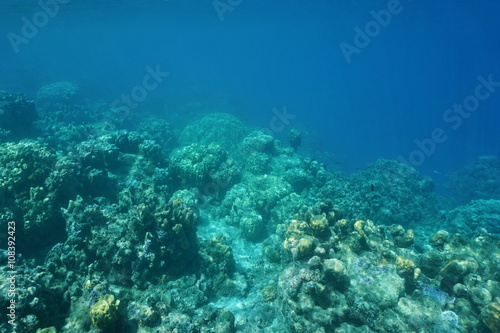 Underwater landscape, edge of coral reef down to the abyss, Pacific ocean, French Polynesia © dam