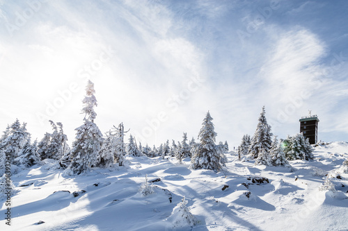 Winter auf dem Brocken, verschneite Bäume und blauer Himmel