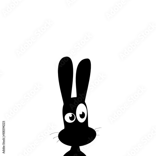 Hase