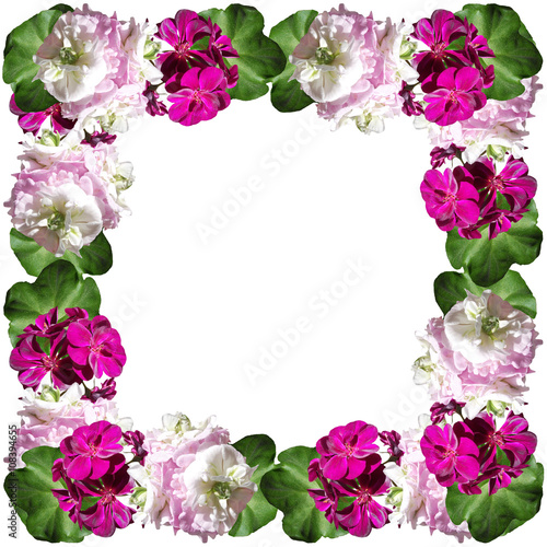Fototapeta Naklejka Na Ścianę i Meble -  Delicate floral background. Pelargonium 