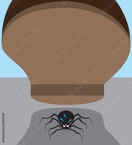 Nervous spider about to be stepped on