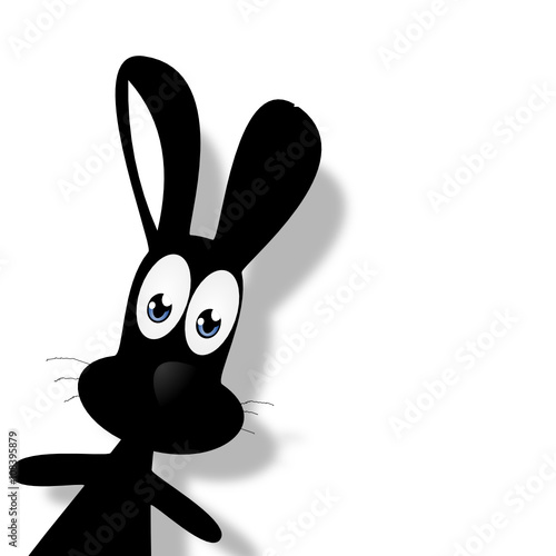 Hase