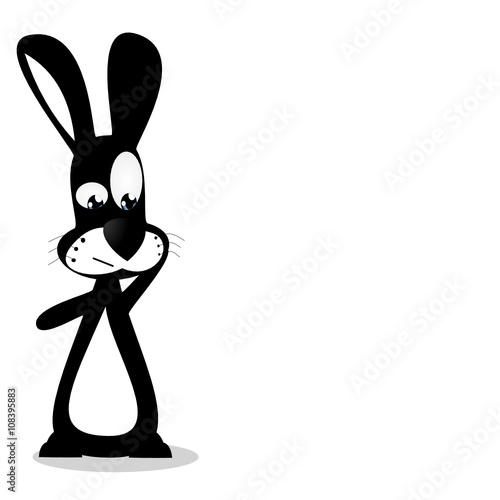 Hase