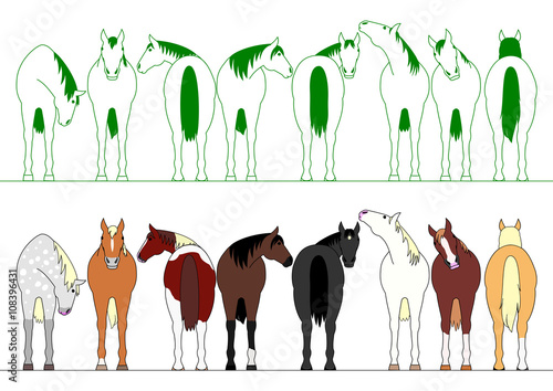 colorful horses in a row