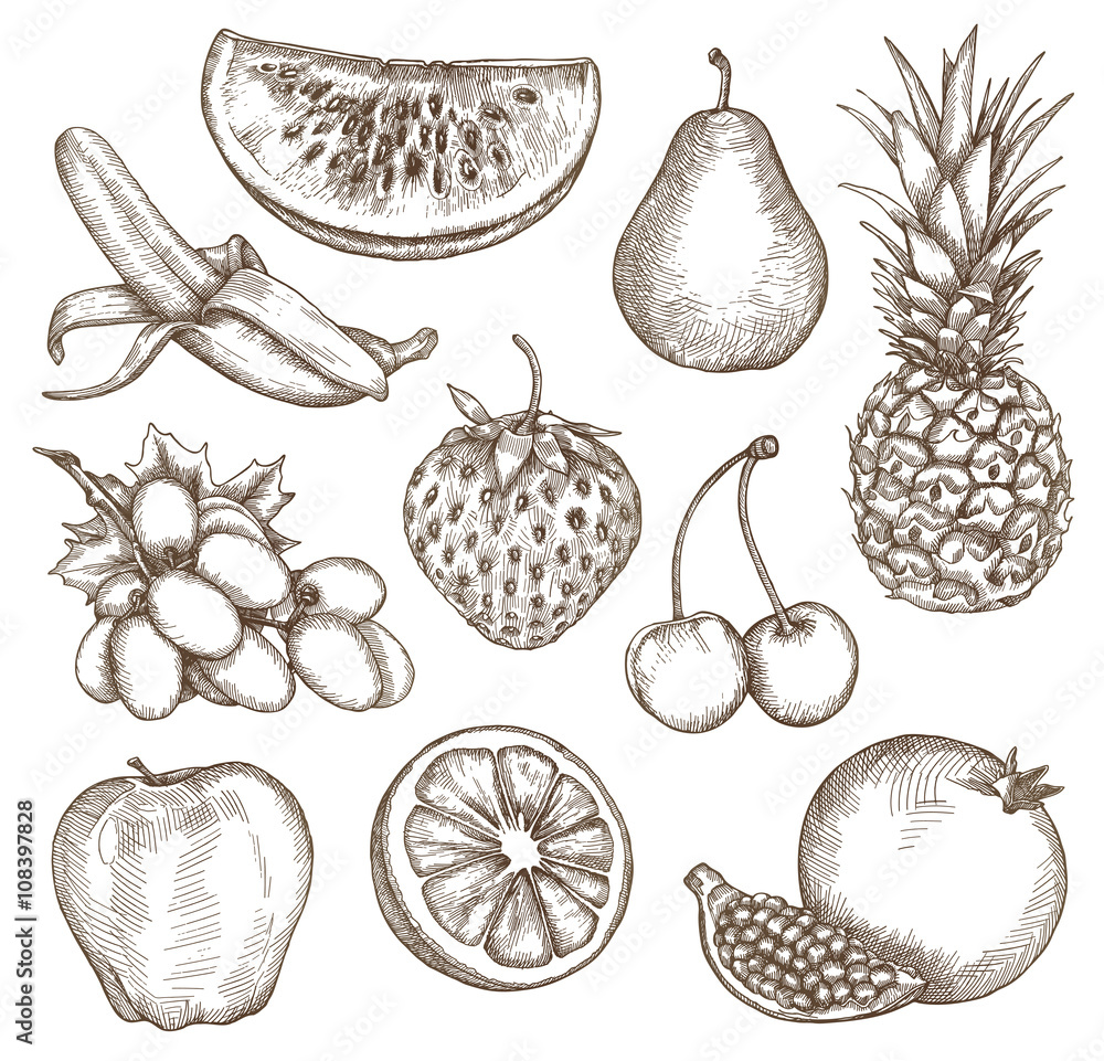 Fruit, sketches, hand drawing, vector set Stock Vector Adobe Stock