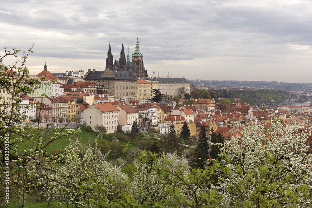 pring Prague City with gothic Castle, green Nature and flowering Trees, Czech Republic