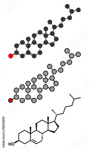 Cholesterol molecule. Essential component of cell membranes.