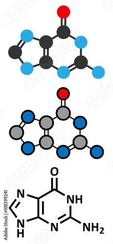 Guanine (G) purine nucleobase molecule. Base present in DNA and RNA.