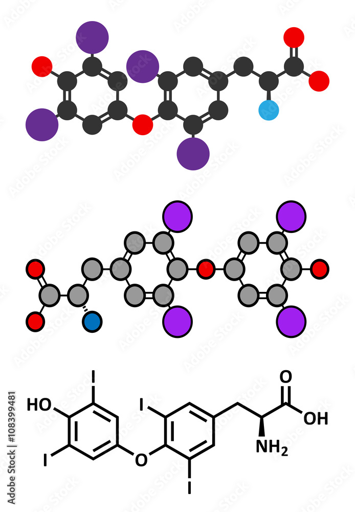 Thyroxine (T4, levothyroxine) thyroid hormone molecule. 