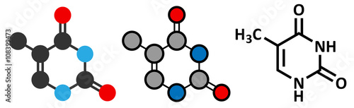 Thymine (T) nucleobase molecule. present in DNA.