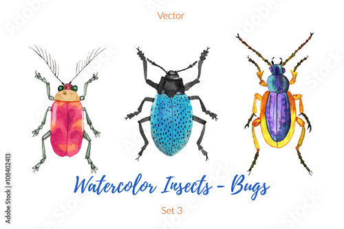 Set of hand painted watercolorbugs, vector.