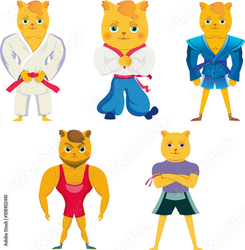 Cartoon cat in karate ,mma , sambo utfit. Isolated on white
