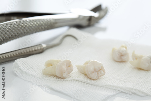 Fototapeta Naklejka Na Ścianę i Meble -  Dental tools and removed teeth