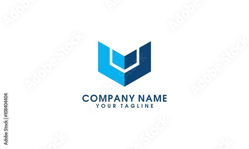 V Logo Design