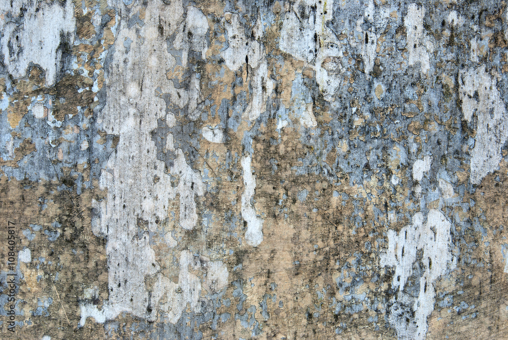 Obraz premium Old wall